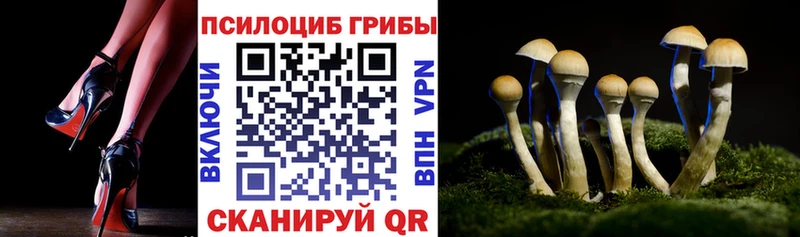 Псилоцибиновые грибы Psilocybe  Видное 